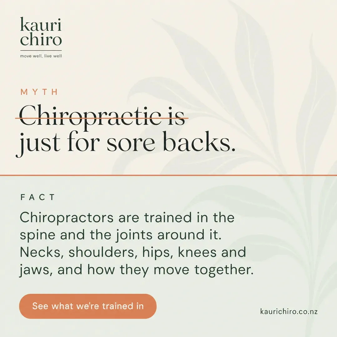 Concept advertisement for Kauri Chiropractic, an invented clinic. Two-panel split, terracotta rule struck through the top line.