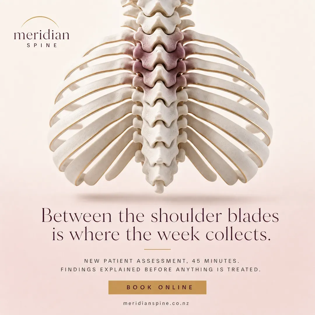 Concept advertisement for Meridian Spine, an invented clinic. Mauve-tinted vertebrae, letterspaced caps, outlined gold button.