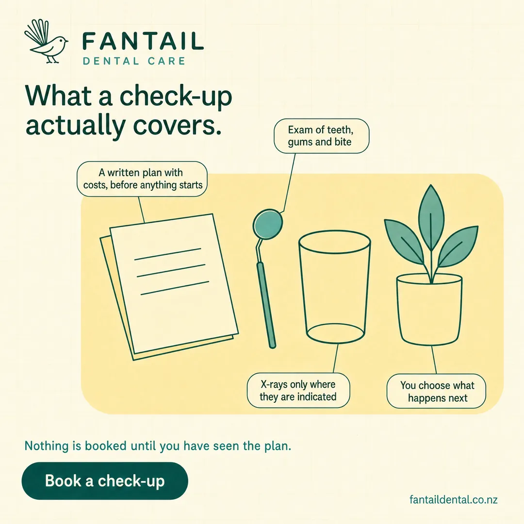 Concept advertisement for Fantail Dental Care, an invented clinic. Single-weight vector drawing, butter-yellow shapes behind it.